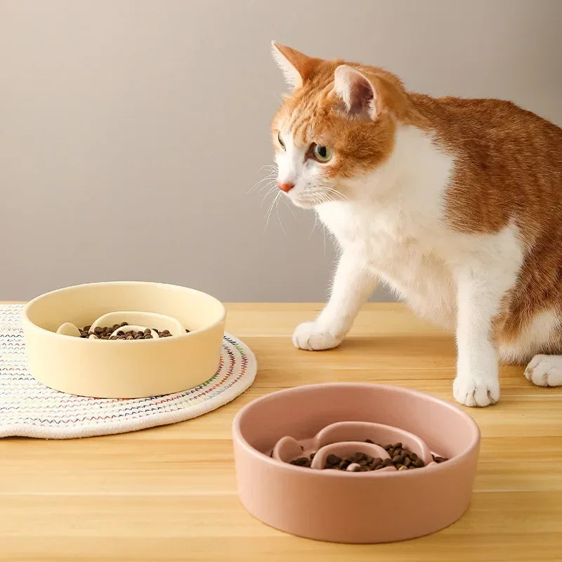 Ceramic Pet Slow Feeder Bowl For Cats And Small Dogs