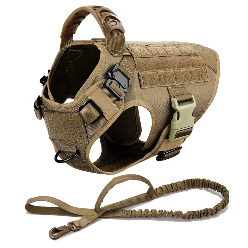 PETRAVEL Dog Harness And Leash Set For Training