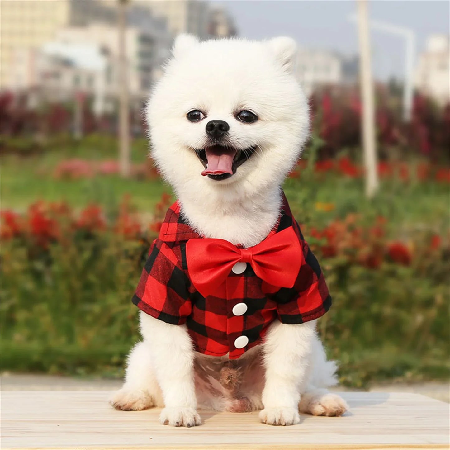 Plaid Pet Formal Suit For Dogs And Cats Tie Vest Costume