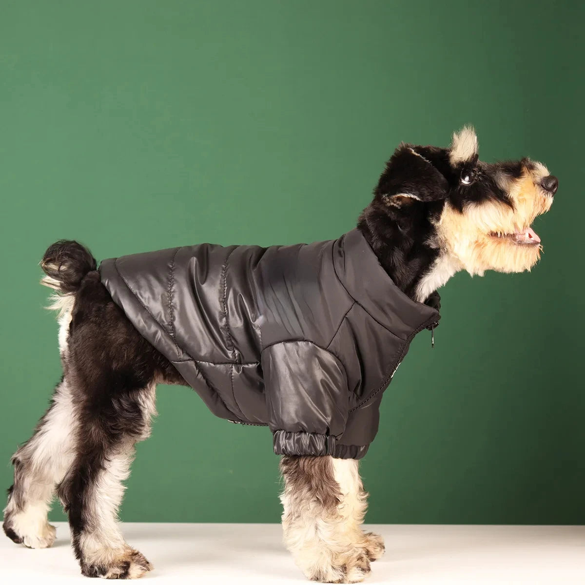 WANGUPETCN Winter Windproof Dog Jacket Reflective Coat