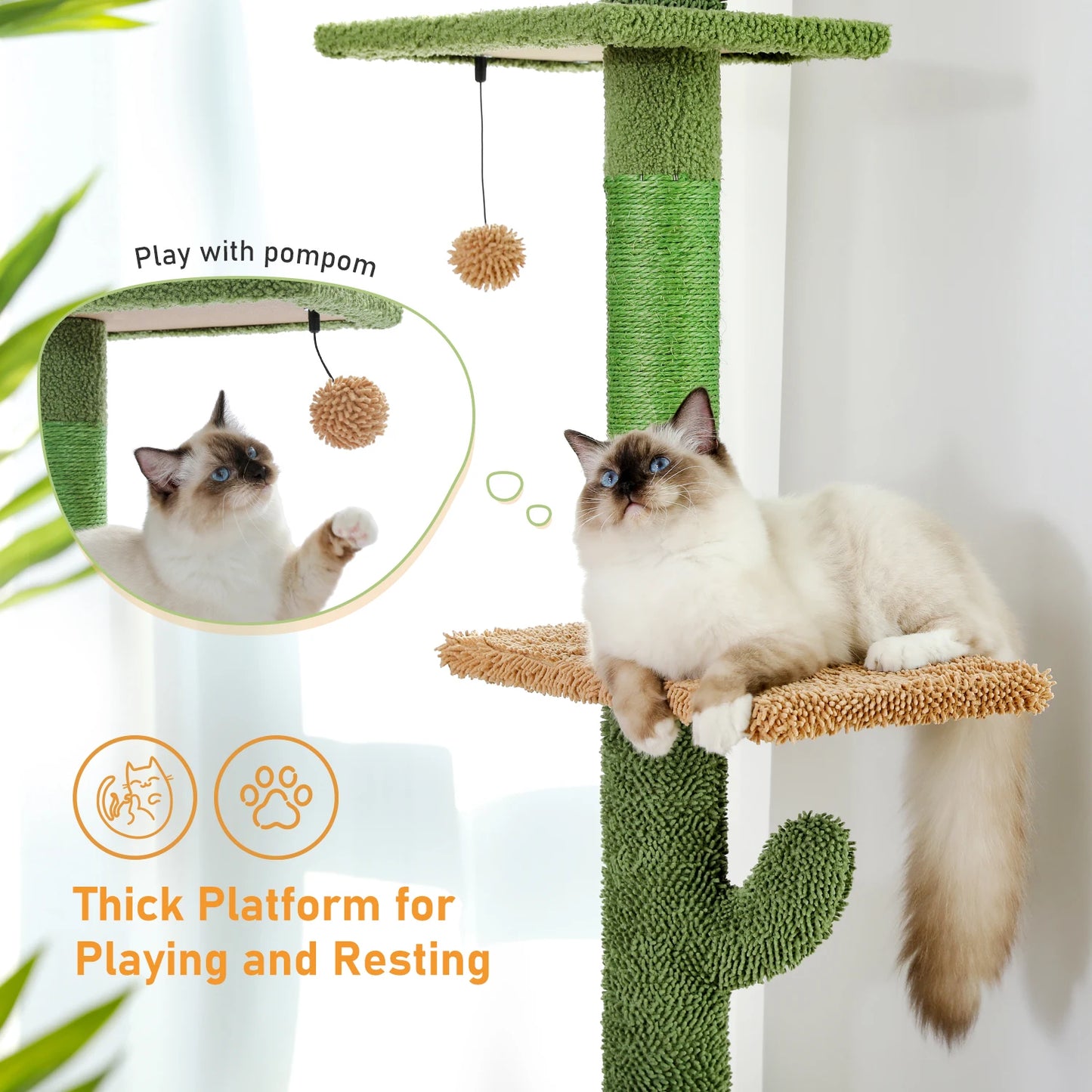 PAWZ Road Cat Tree Cactus Climbing Scratching Hammock