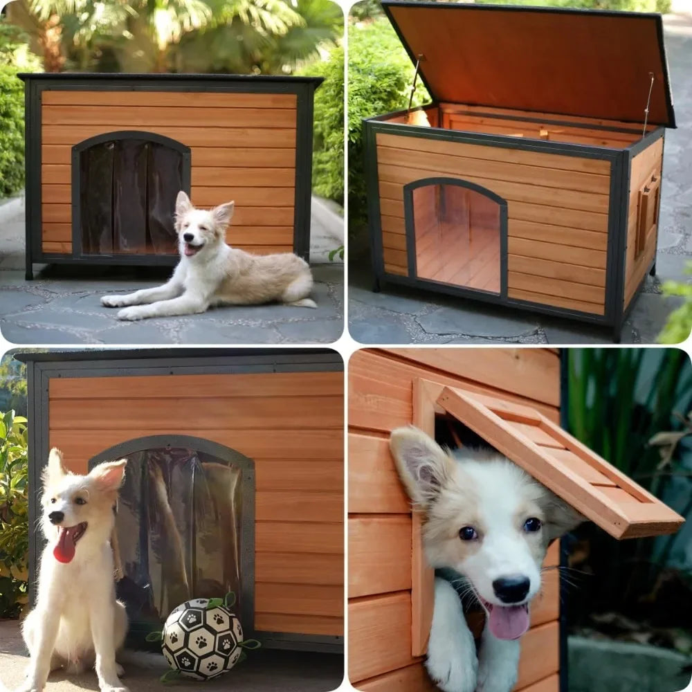 ZHUXIANG Weatherproof Chew Proof Outdoor Dog Kennel