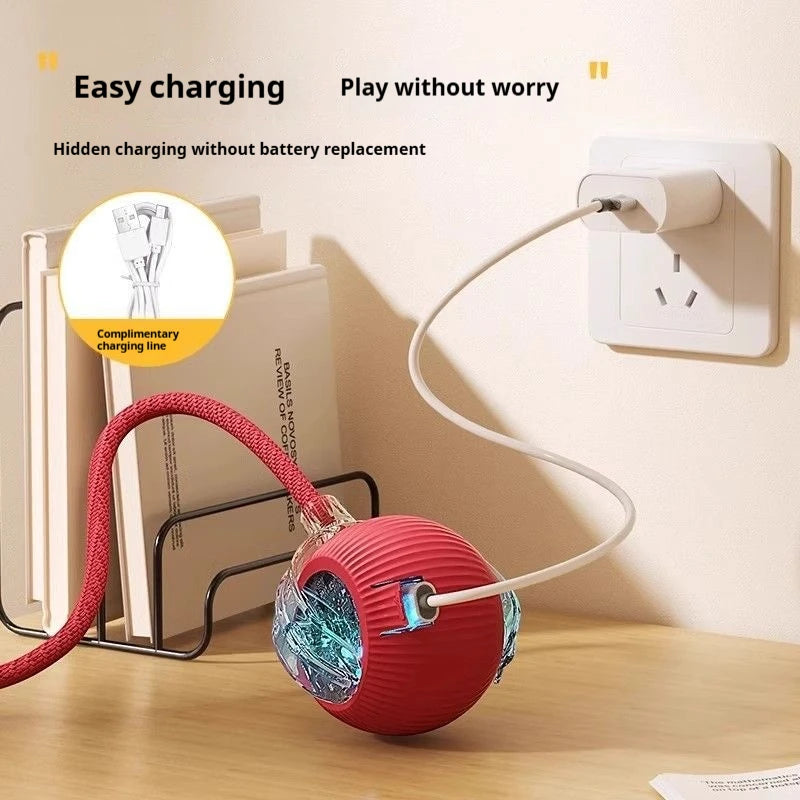 Pet Interactive Electric Rolling Spherical Ball Toy For Dogs