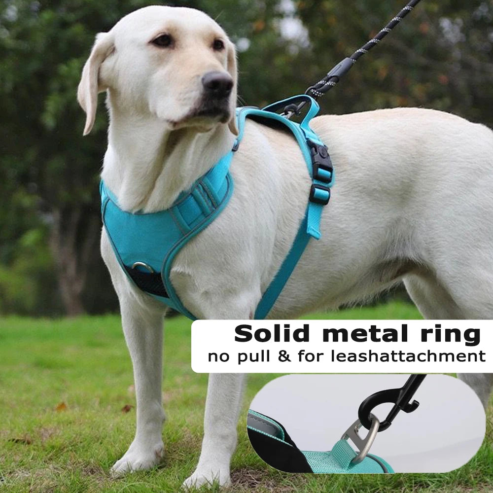 XMSJCN Dog Harness With AirTag Holder And Leash Set