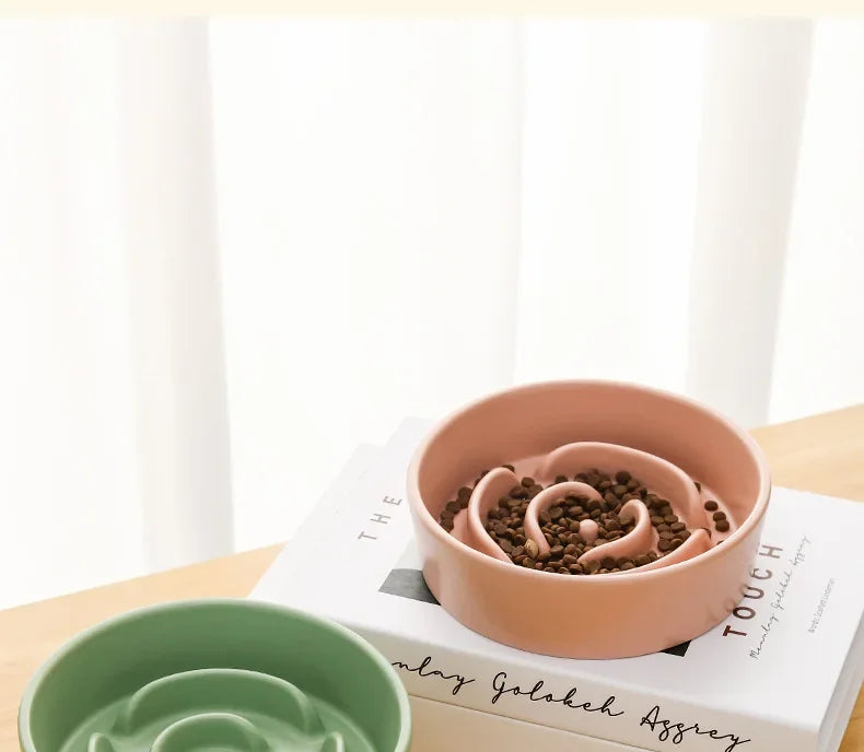 Ceramic Pet Slow Feeder Bowl For Cats And Small Dogs