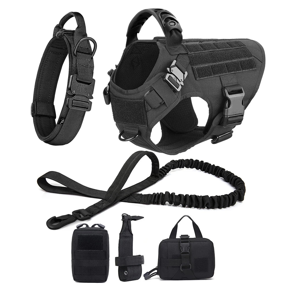 PETRAVEL Dog Harness And Leash Set For Training