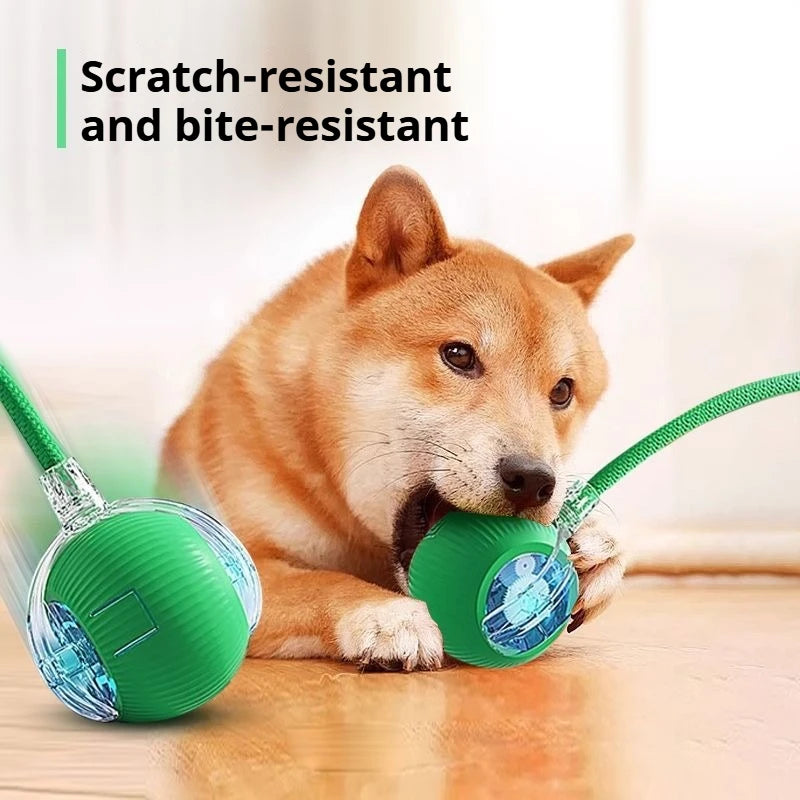 Pet Interactive Electric Rolling Spherical Ball Toy For Dogs