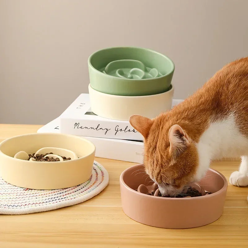 Ceramic Pet Slow Feeder Bowl For Cats And Small Dogs