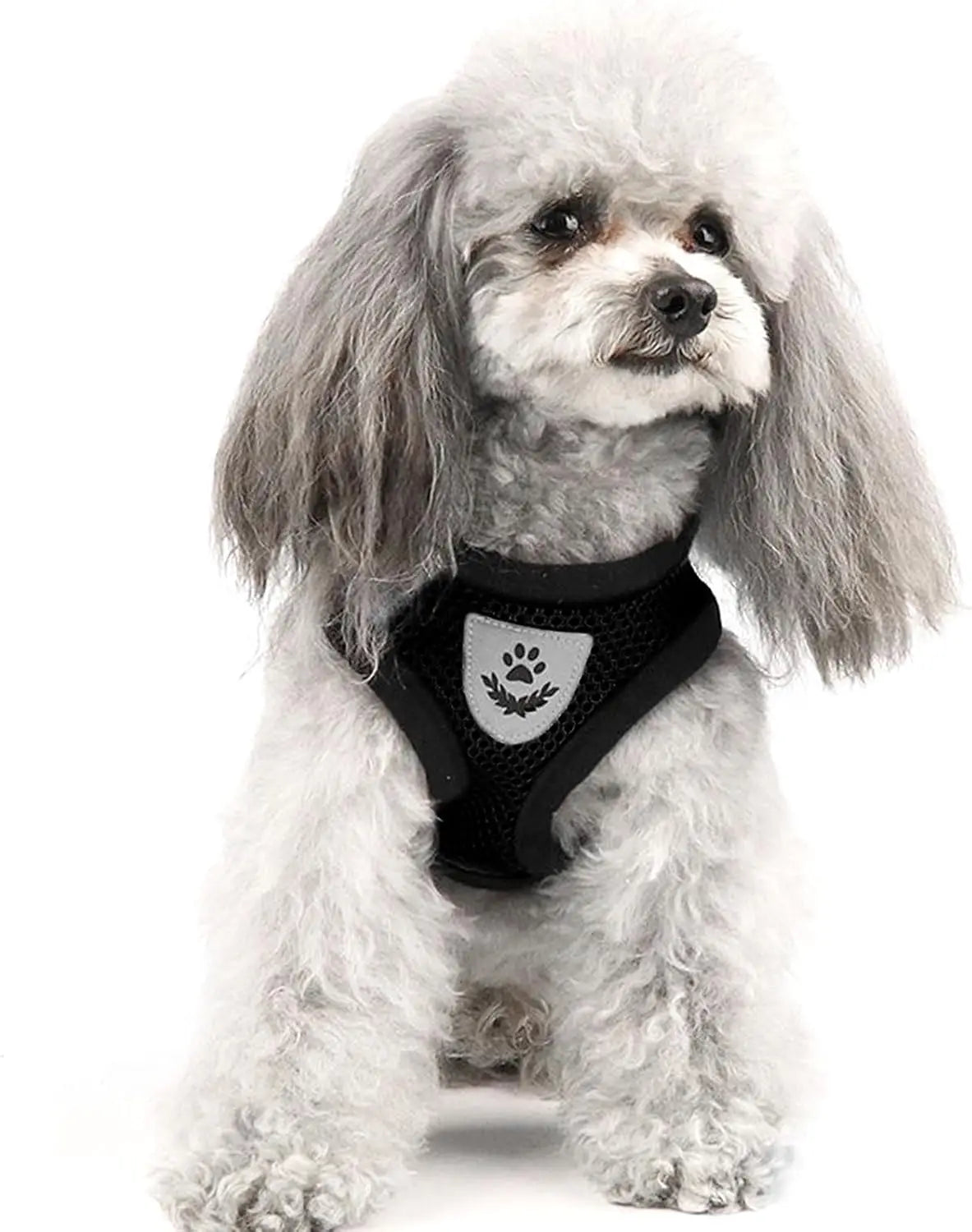 Cat Harness Vest With Adjustable Mesh Leash For Small Pets