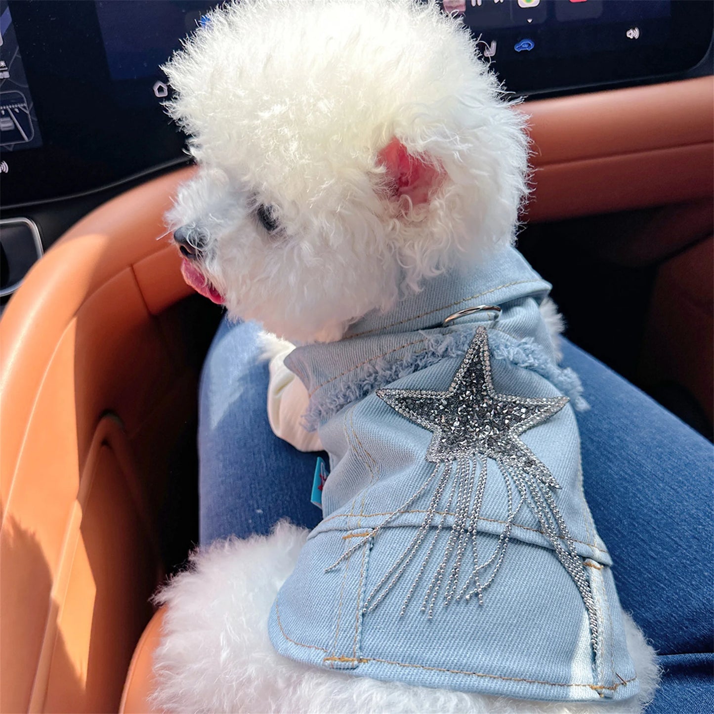 Guangdong Pet Denim Jacket Vest Costume For Dogs Cosplay