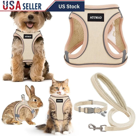 Fujian No Pull Pet Harness Leash Collar Set Step In
