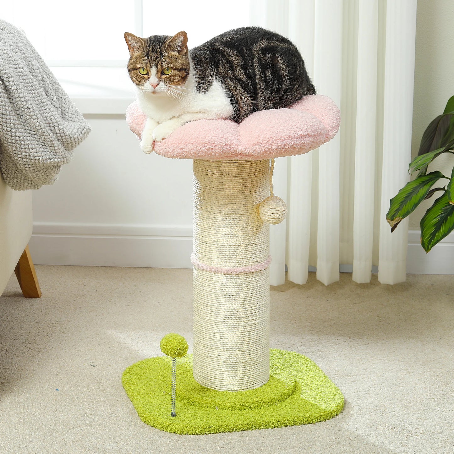 PEQULTICN Flower Cat Scratching Post Small Cat Tree Tower