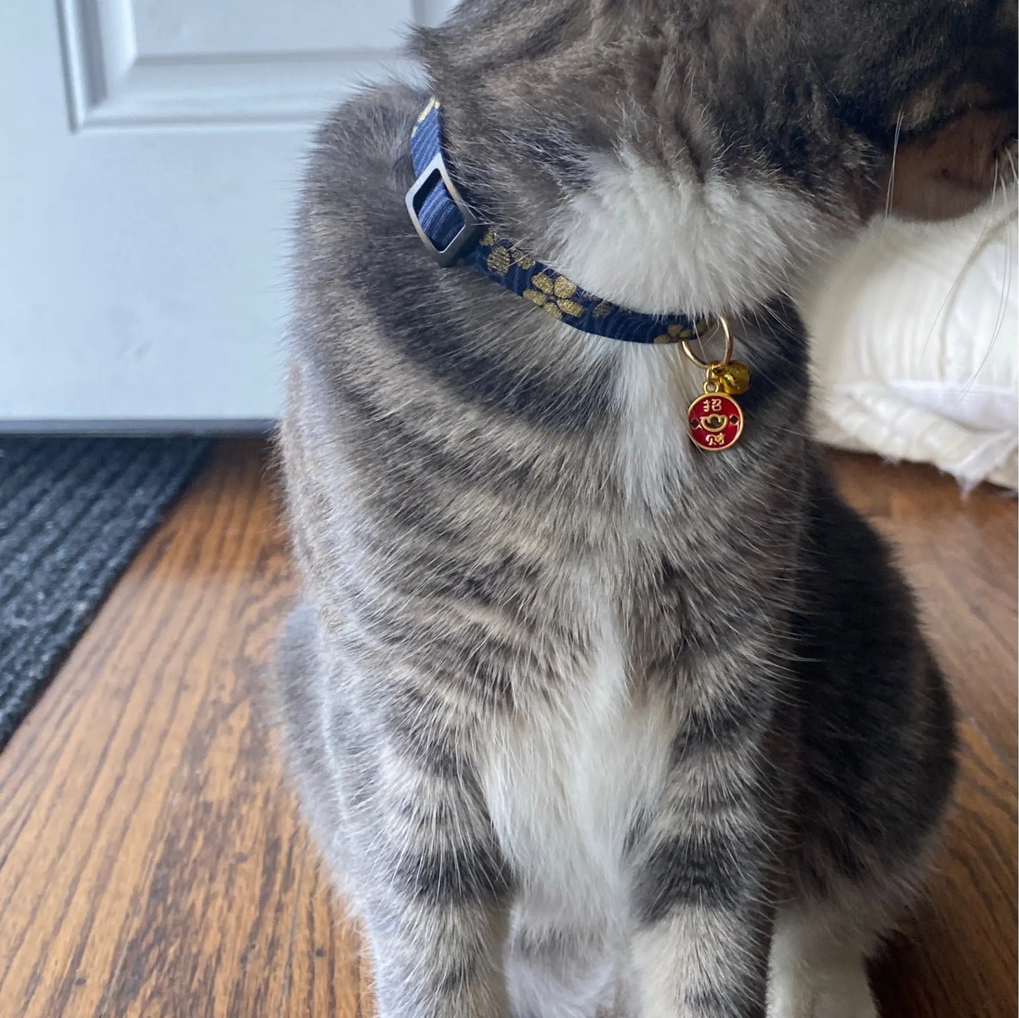 Feature Adjustable Cat Collar With Bell Engraved ID Tag