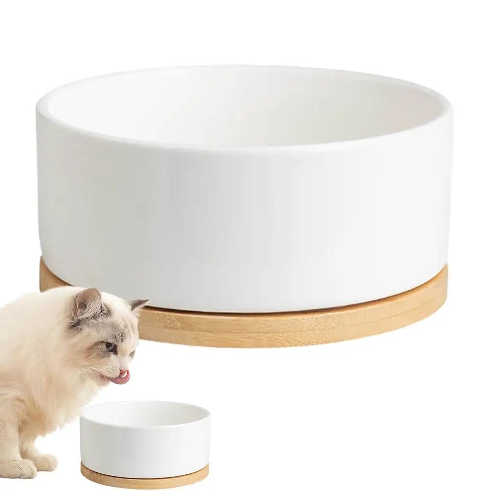 Hign-concerned Thermostatic Heated Pet Water Bowl Outdoor