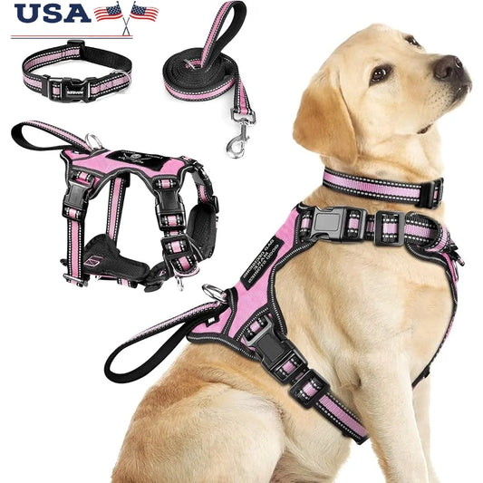 Fujian Reflective No Pull Pet Harness Leash Set For Dogs