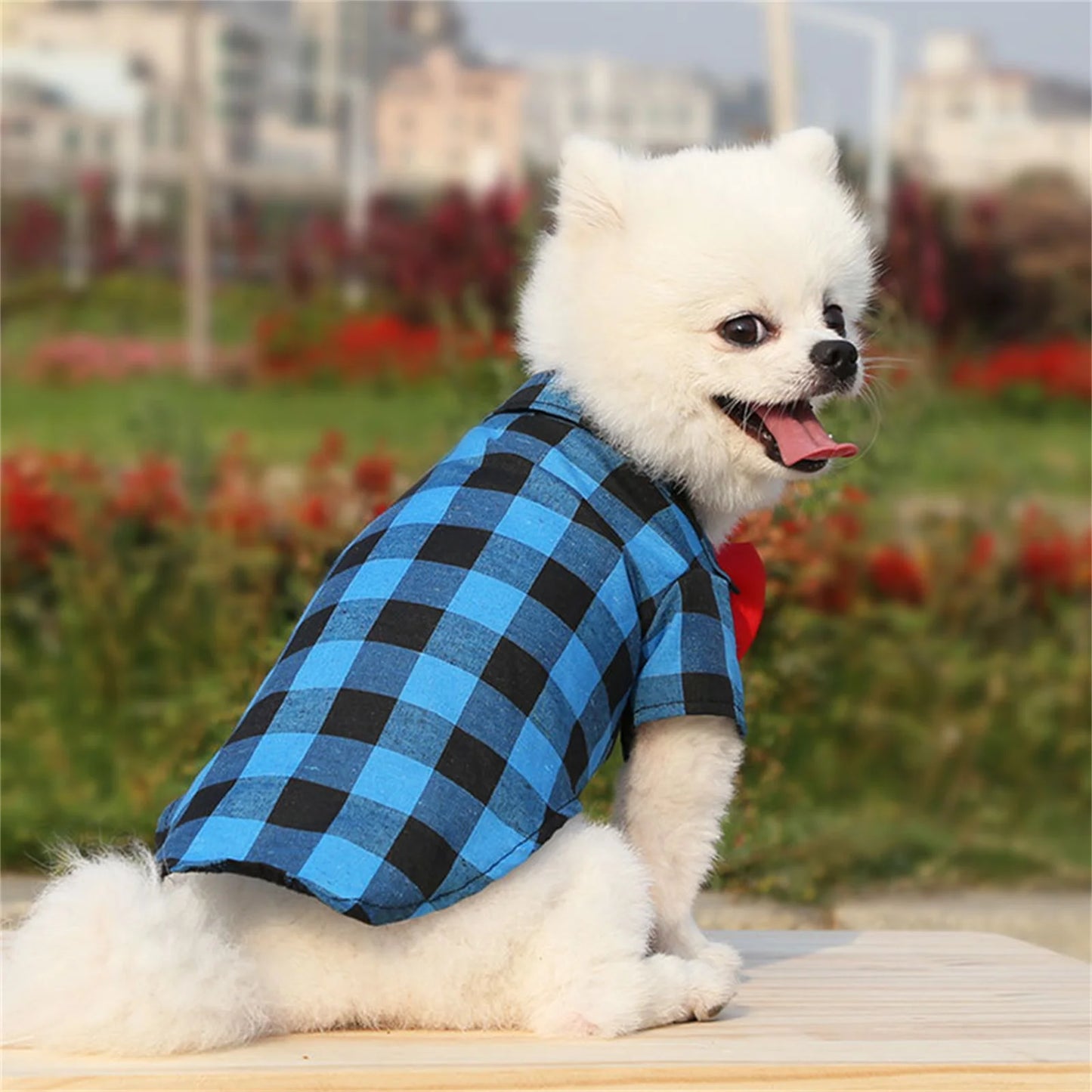Plaid Pet Formal Suit For Dogs And Cats Tie Vest Costume