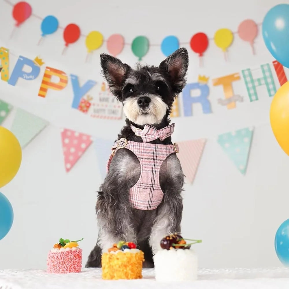 Fujian Dog Harness Leash Set Plaid Design For Walks