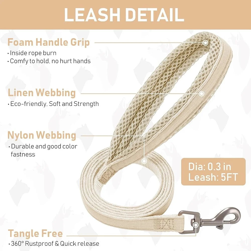 Fujian No Pull Pet Harness Leash Collar Set Step In