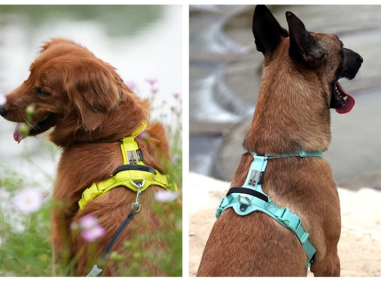 Small Combination No Pull Reflective Dog Harness Vest For Dogs