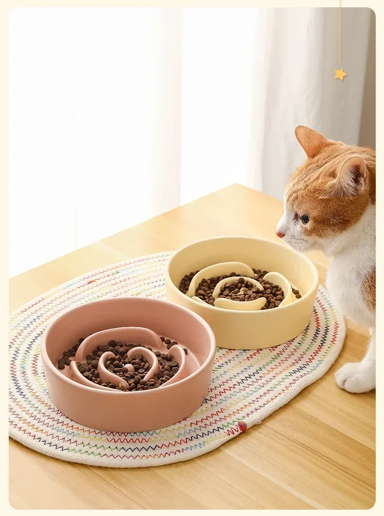 Ceramic Pet Slow Feeder Bowl For Cats And Small Dogs