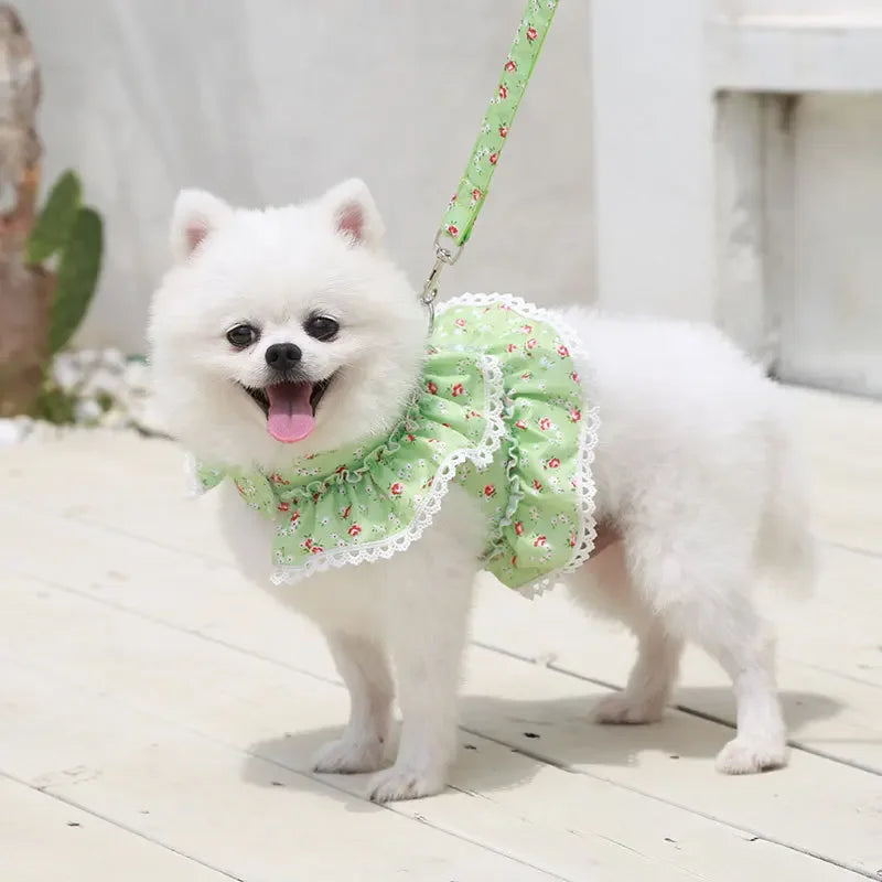 Dog Cat Harness Leash Set Adjustable Floral Printed Lace Vest