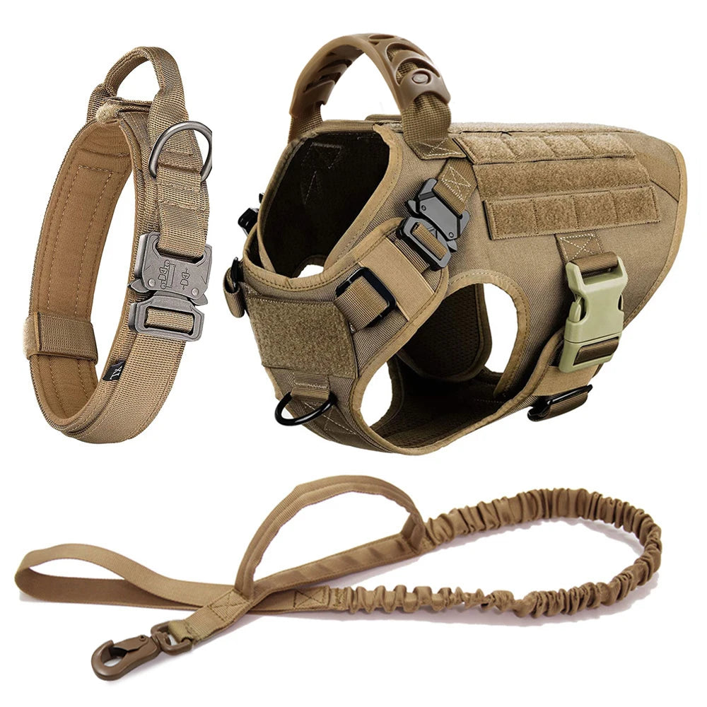 PETRAVEL Dog Harness And Leash Set For Training