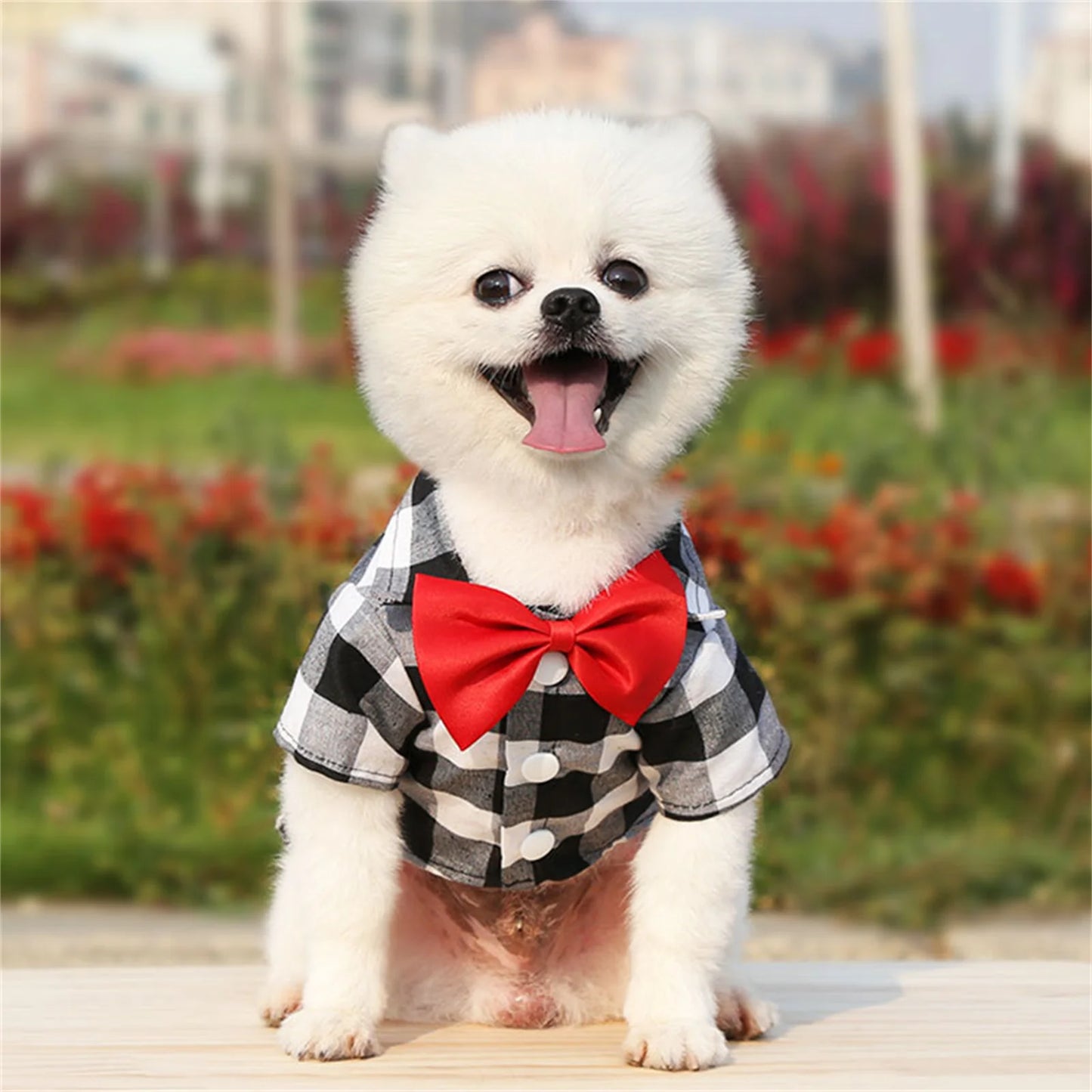 Plaid Pet Formal Suit For Dogs And Cats Tie Vest Costume