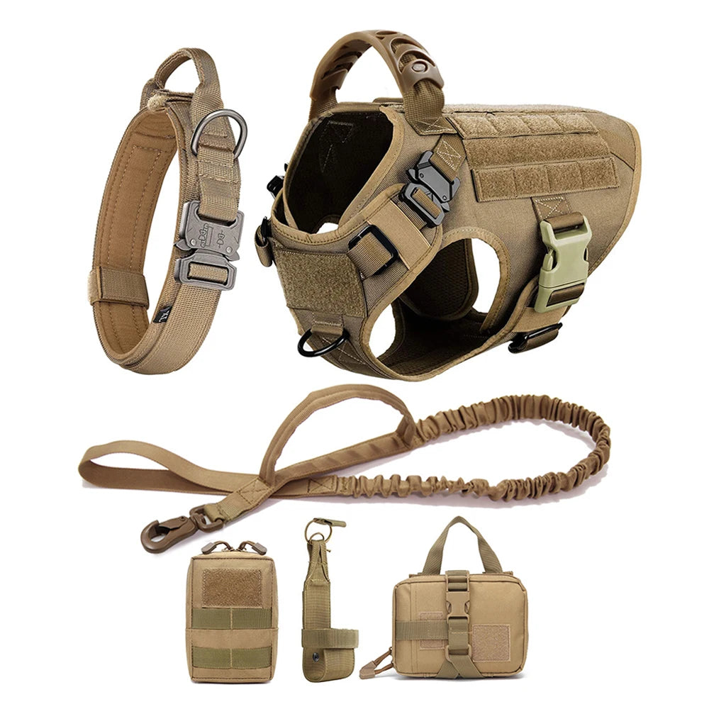 PETRAVEL Dog Harness And Leash Set For Training