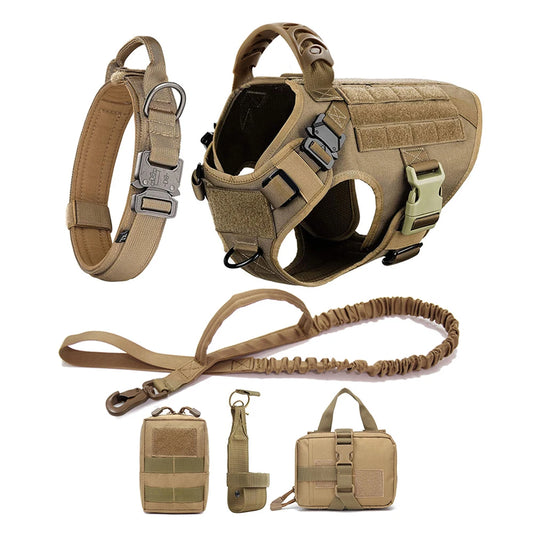 PETRAVEL Dog Harness And Leash Set For Training