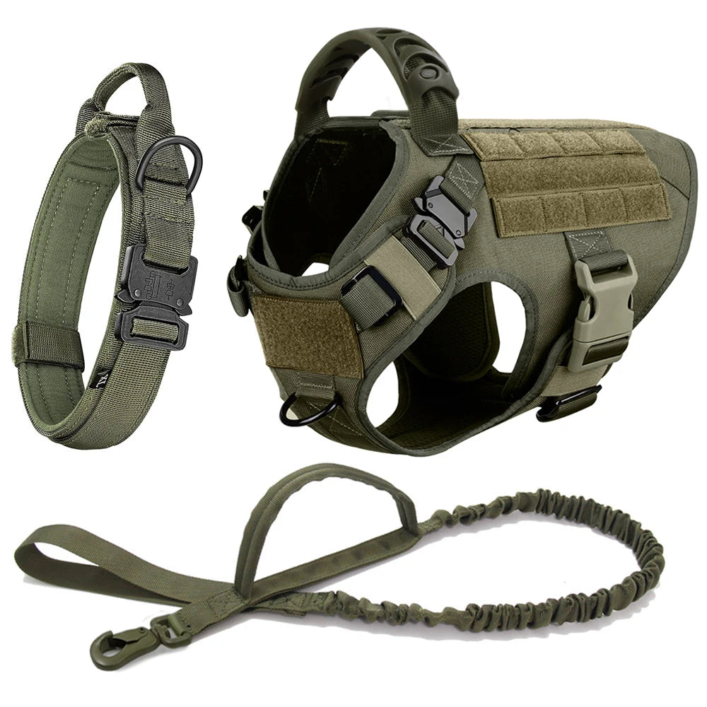 PETRAVEL Dog Harness And Leash Set For Training