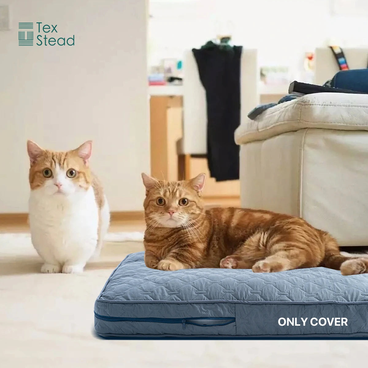 Zhejiang Choice Orthopedic Dog Bed Cover Washable Mat Waterproof